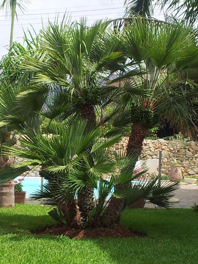 Villa Manzella Piscina Privata Чинізі Екстер'єр фото